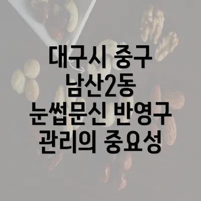 대구시 중구 남산2동 눈썹문신 반영구 관리의 중요성