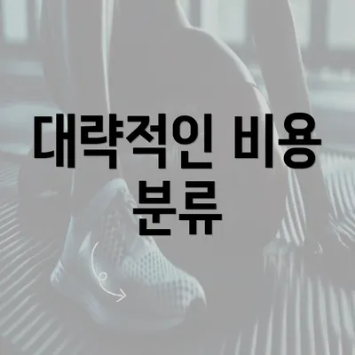 대략적인 비용 분류