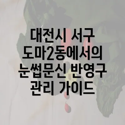 대전시 서구 도마2동에서의 눈썹문신 반영구 관리 가이드