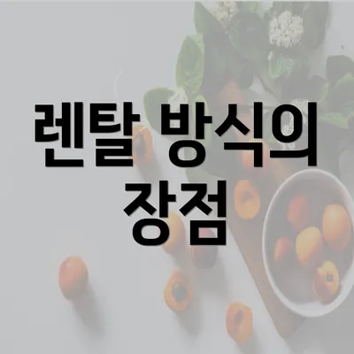 렌탈 방식의 장점