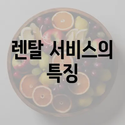 렌탈 서비스의 특징