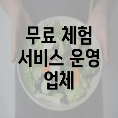 무료 체험 서비스 운영 업체