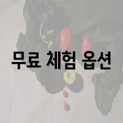 무료 체험 옵션