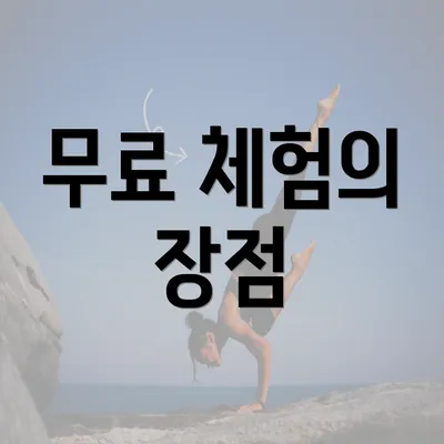 무료 체험의 장점