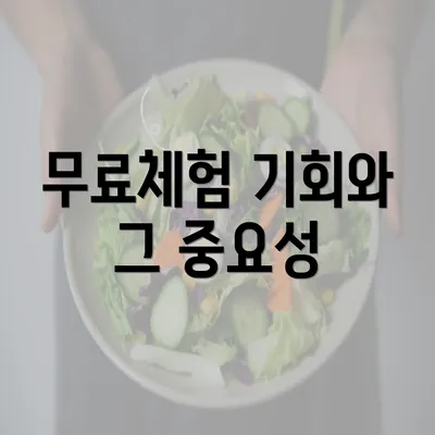 무료체험 기회와 그 중요성