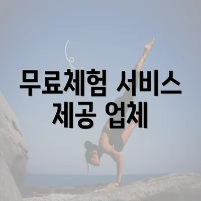 무료체험 서비스 제공 업체