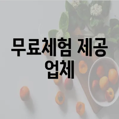 무료체험 제공 업체