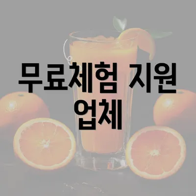 무료체험 지원 업체