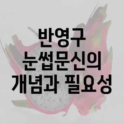 반영구 눈썹문신의 개념과 필요성