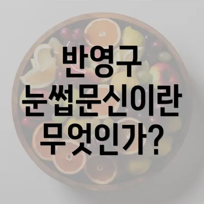 반영구 눈썹문신이란 무엇인가?