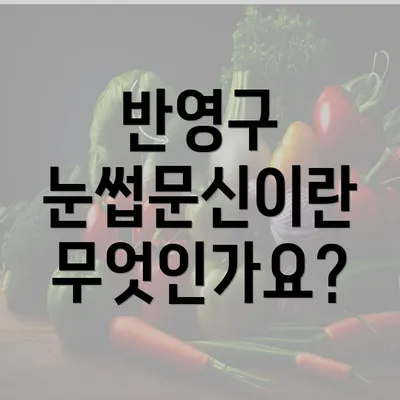 반영구 눈썹문신이란 무엇인가요?