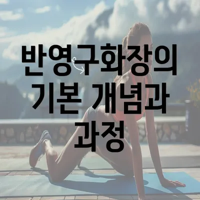 반영구화장의 기본 개념과 과정