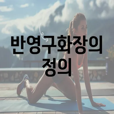 반영구화장의 정의