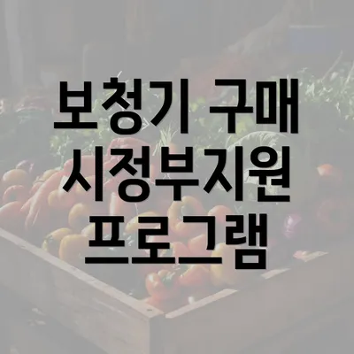 보청기 구매 시정부지원 프로그램