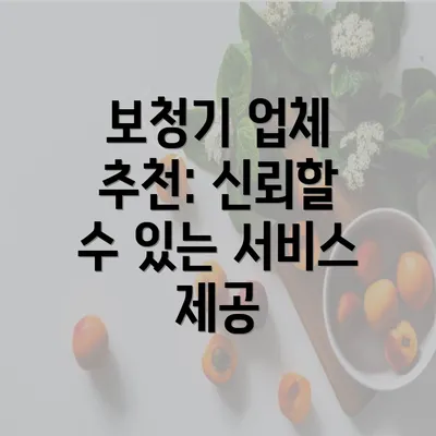 보청기 업체 추천: 신뢰할 수 있는 서비스 제공