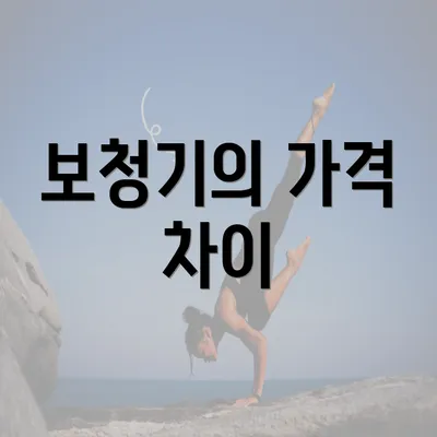 보청기의 가격 차이