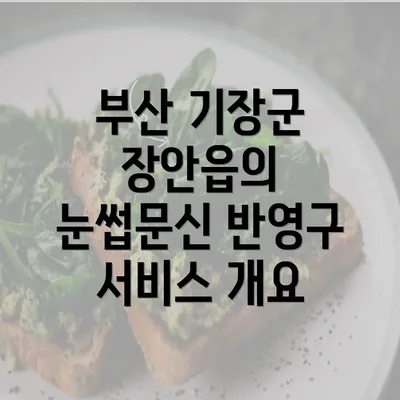 부산 기장군 장안읍의 눈썹문신 반영구 서비스 개요