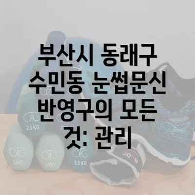 부산시 동래구 수민동 눈썹문신 반영구의 모든 것: 관리