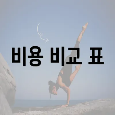 비용 비교 표