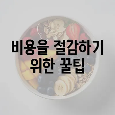 비용을 절감하기 위한 꿀팁