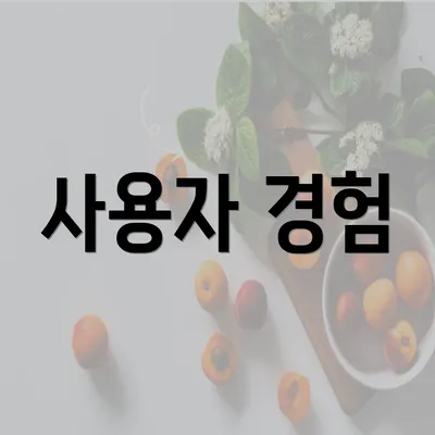 사용자 경험