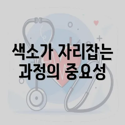 색소가 자리잡는 과정의 중요성