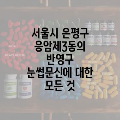 서울시 은평구 응암제3동의 반영구 눈썹문신에 대한 모든 것