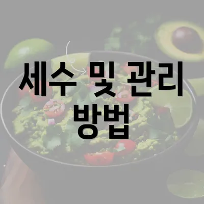 세수 및 관리 방법