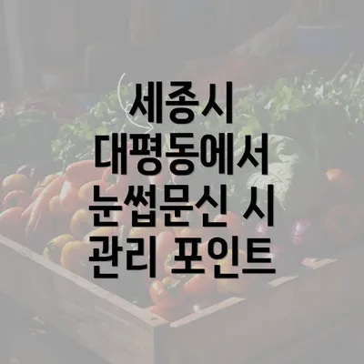 세종시 대평동에서 눈썹문신 시 관리 포인트