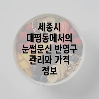 세종시 대평동에서의 눈썹문신 반영구 관리와 가격 정보