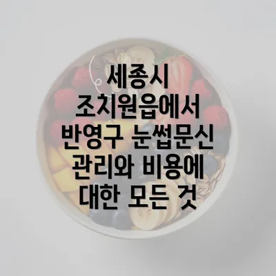 세종시 조치원읍에서 반영구 눈썹문신 관리와 비용에 대한 모든 것