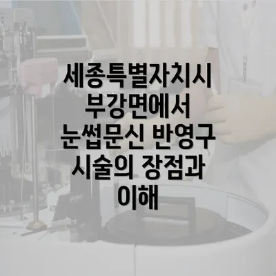 세종특별자치시 부강면에서 눈썹문신 반영구 시술의 장점과 이해