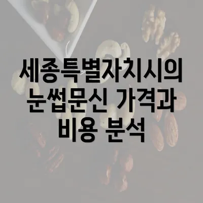 세종특별자치시의 눈썹문신 가격과 비용 분석