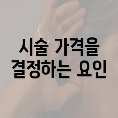 시술 가격을 결정하는 요인