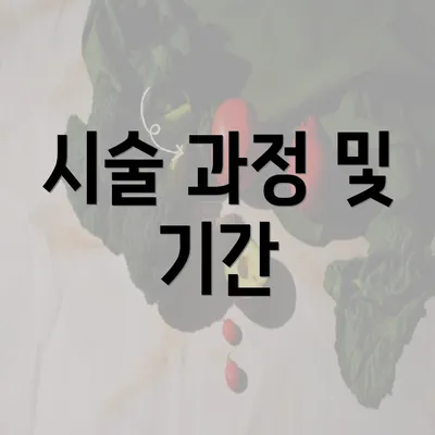 시술 과정 및 기간