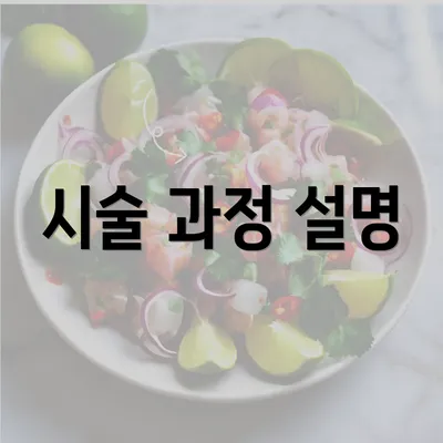 시술 과정 설명