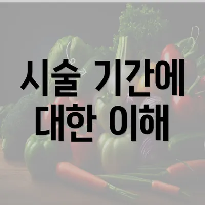 시술 기간에 대한 이해