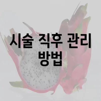 시술 직후 관리 방법