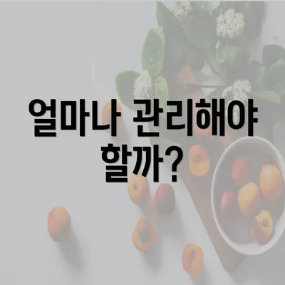 얼마나 관리해야 할까?