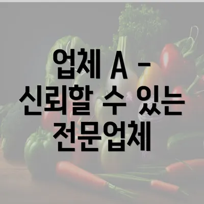 업체 A - 신뢰할 수 있는 전문업체