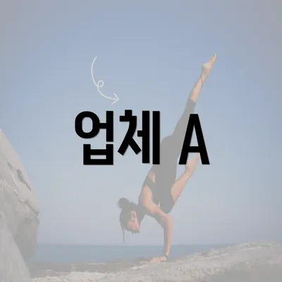 업체 A