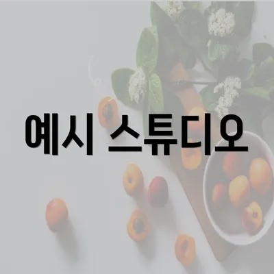 예시 스튜디오