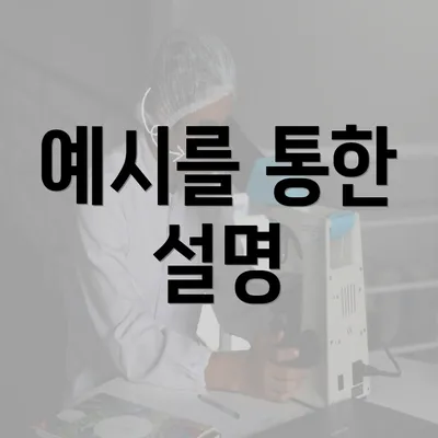 예시를 통한 설명