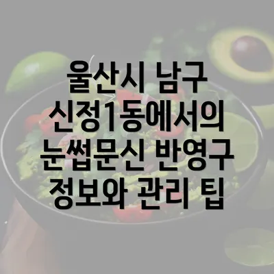 울산시 남구 신정1동에서의 눈썹문신 반영구 정보와 관리 팁