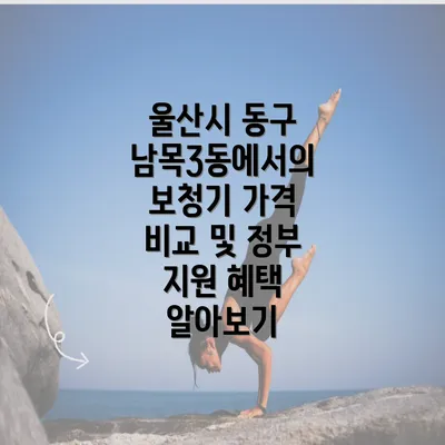 울산시 동구 남목3동에서의 보청기 가격 비교 및 정부 지원 혜택 알아보기