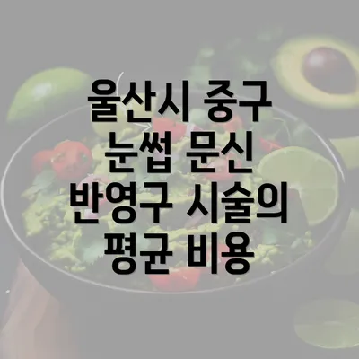 울산시 중구 눈썹 문신 반영구 시술의 평균 비용