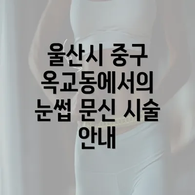 울산시 중구 옥교동에서의 눈썹 문신 반영구 시술 안내