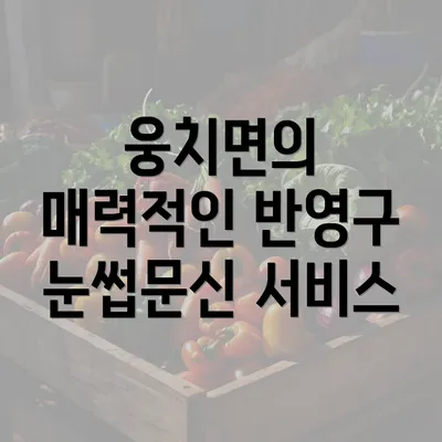 웅치면의 매력적인 반영구 눈썹문신 서비스