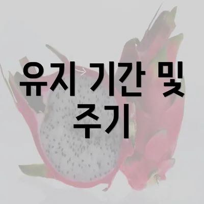 유지 기간 및 주기