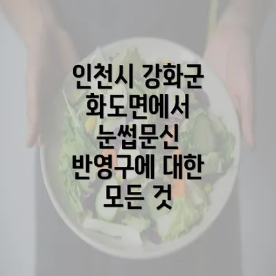 인천시 강화군 화도면에서 눈썹문신 반영구에 대한 모든 것